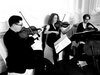 Promo The Stirlingshire String Quartet String Quartet Stirlingshire area