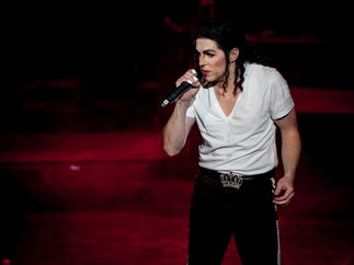 Promo (Michael Jackson) The Michael Jackson Tribute Band Michael Jackson Tribute Act Essex