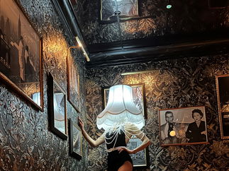 Promo LED Lampshade Ladies Disco Ball Head Characters Lancashire