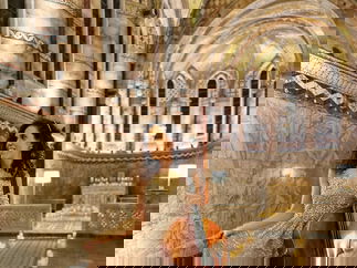 Promo Radiance Strings String Quartet London