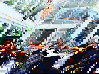 Promo The Stirlingshire String Quartet String Quartet Stirlingshire area