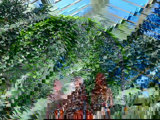 Promo Radiant String Trio String Quartet London