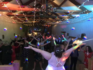 Promo Perfection DJs Wedding DJ Devon