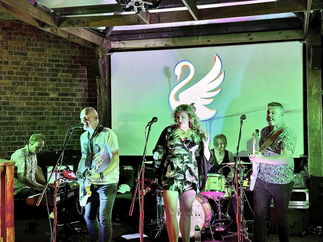 Promo Cartoon Kings Function Band Staffordshire