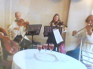 Promo Stromenti String Quartet String Quartet Dorset