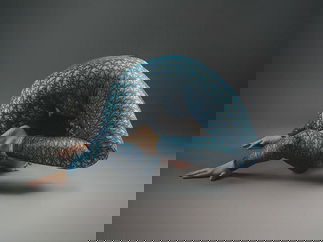 Promo Contortionist Hannah Contortionist Bristol