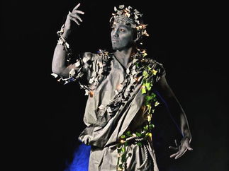 Promo Stone Living Statues Street Performer Leicestershire