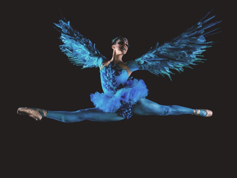 Promo Winged Ballerinas Dancer Dorset