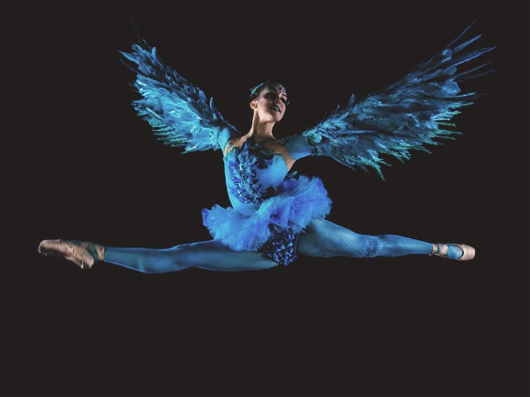 artists similar to Winged Ballerinas
