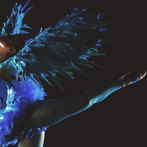 Promo Winged Ballerinas  Dorset