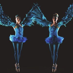 Promo Winged Ballerinas  Dorset