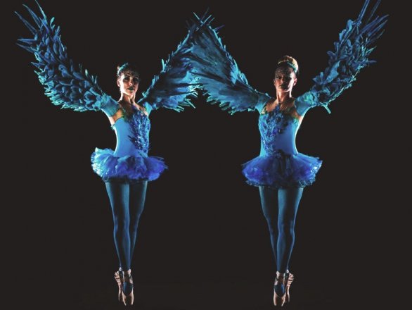 Promo Winged Ballerinas Dancer Dorset