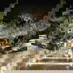 Promo DJ Markus  Surrey