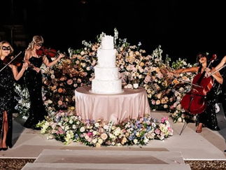 Promo Topaz Electric Strings Electric Violinist London