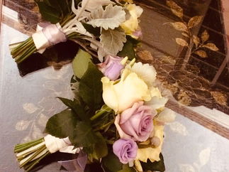 Promo The Rose String Quartet String Quartet Hertfordshire