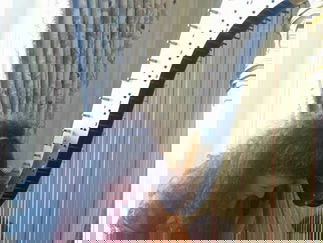 Promo The Romantic Harpist Harpist Devon