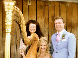 Promo The Romantic Harpist Harpist Devon