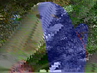 Promo The Romantic Harpist Harpist Devon