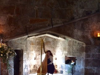 Promo The Romantic Harpist Harpist Devon