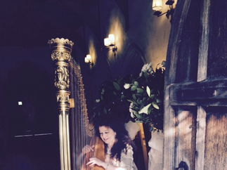 Promo The Romantic Harpist Harpist Devon