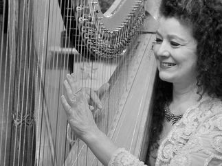 Promo The Romantic Harpist Harpist Devon