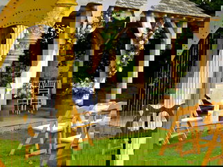 Promo The Romantic Harpist Harpist Devon