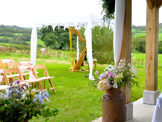 Promo The Romantic Harpist Harpist Devon