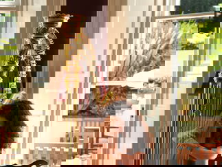 Promo The Romantic Harpist Harpist Devon