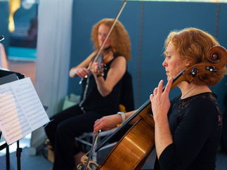 Promo The Stirlingshire String Quartet String Quartet Stirlingshire area