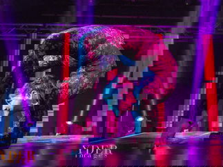 Promo Contortionist Hannah Contortionist Bristol