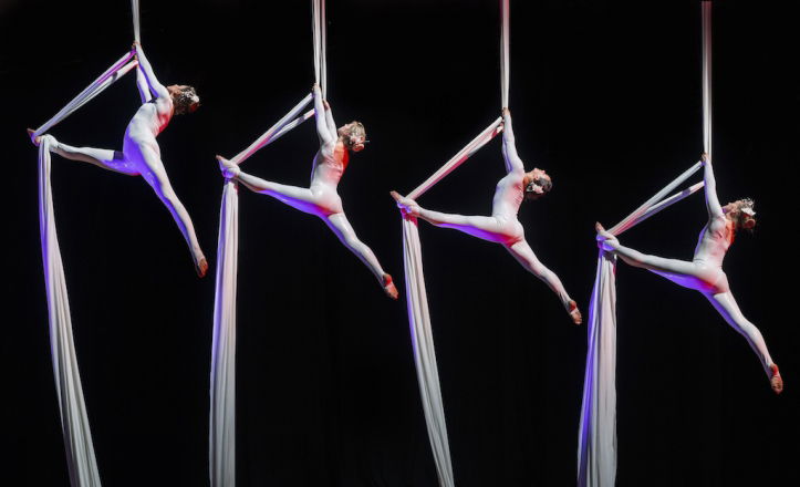 Promo Aerial Silk Displays Circus Performer London