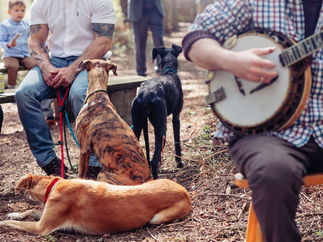 Promo The Banjo Guy Banjo Player Cornwall