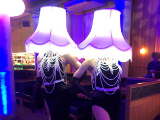 Promo LED Lampshade Ladies Disco Ball Head Characters Lancashire