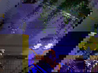 Promo The Function Function Band London