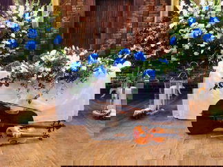 Promo The Rose String Quartet String Quartet Hertfordshire