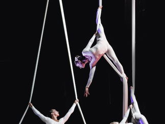 Promo Aerial Silk Displays Circus Performer London