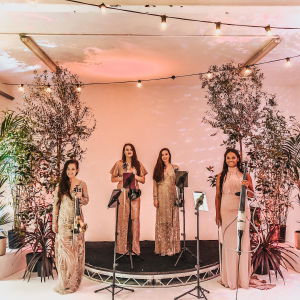 Promo Ventus Electric String Quartet  Berkshire
