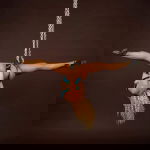 Promo Miss D Ville  Kent