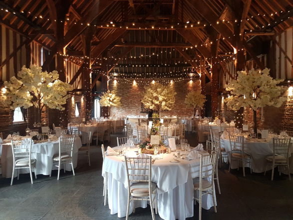 Promo Gold Harp Harpist East Sussex