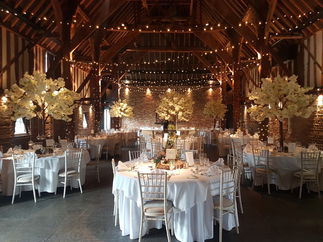 Promo Gold Harp Harpist East Sussex