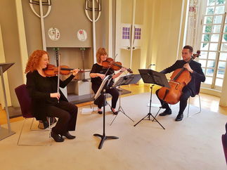 Promo The Stirlingshire String Quartet String Quartet Stirlingshire area