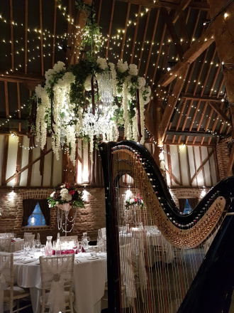 Promo Gold Harp Harpist East Sussex