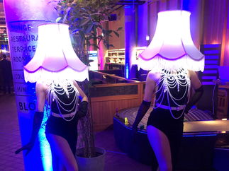 Promo LED Lampshade Ladies Disco Ball Head Characters Lancashire