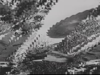 Promo Live Forever Rock, Pop & Indie Party Band London