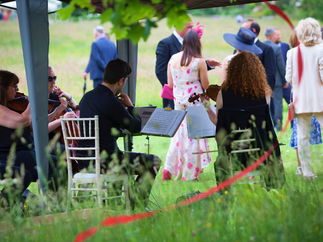 Promo The Stirlingshire String Quartet String Quartet Stirlingshire area