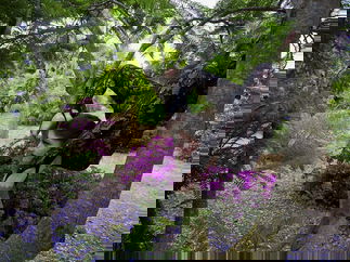 Promo Contortionist Hannah Contortionist Bristol