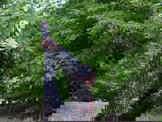 Promo Contortionist Hannah Contortionist Bristol