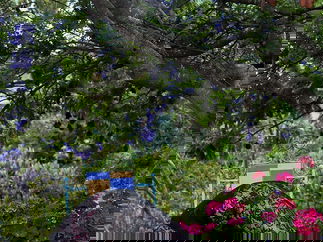 Promo Contortionist Hannah Contortionist Bristol