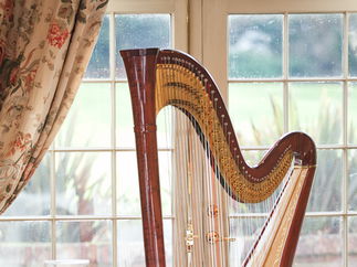 Promo Siona Stockel (Harpist) Harpist Somerset