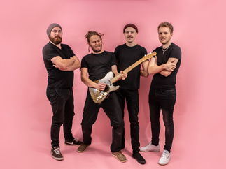 Promo Tritts And The Numbers Function Band Essex